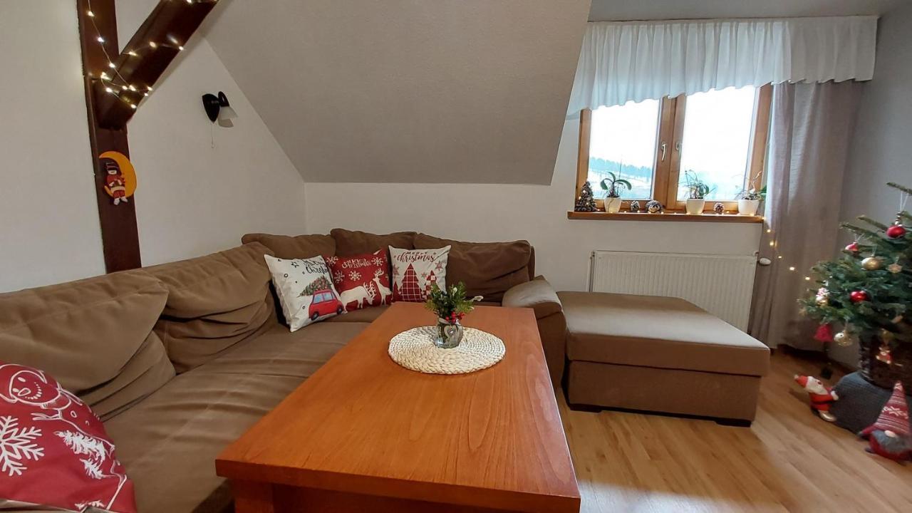 Agroturystyka Jelenia Висла Экстерьер фото