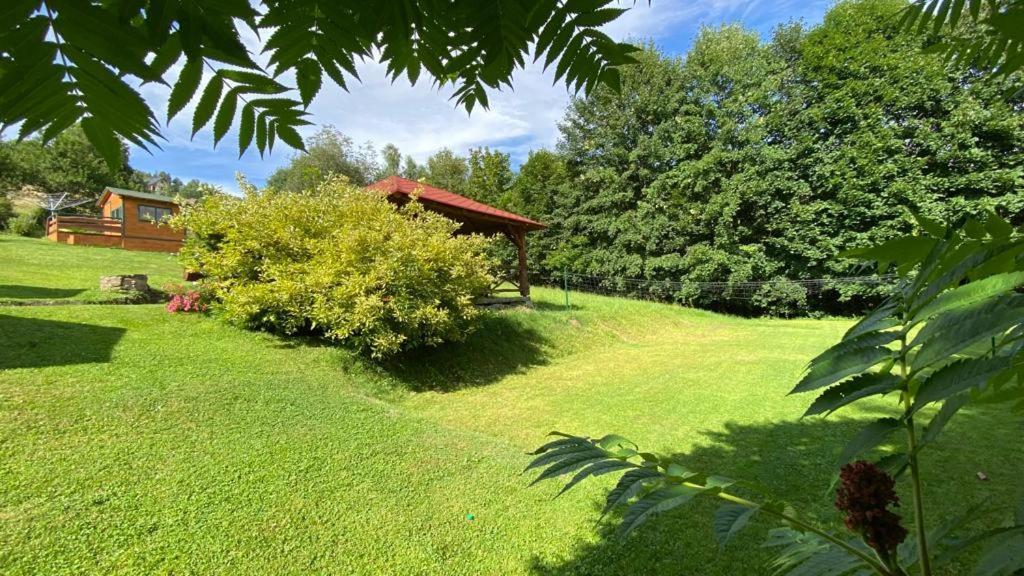 Agroturystyka Jelenia Висла Экстерьер фото